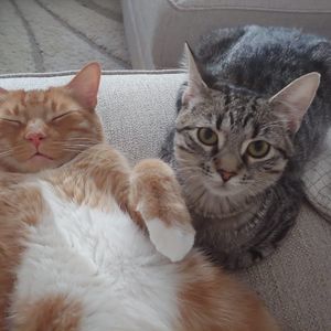 Meet your Posher, Trish